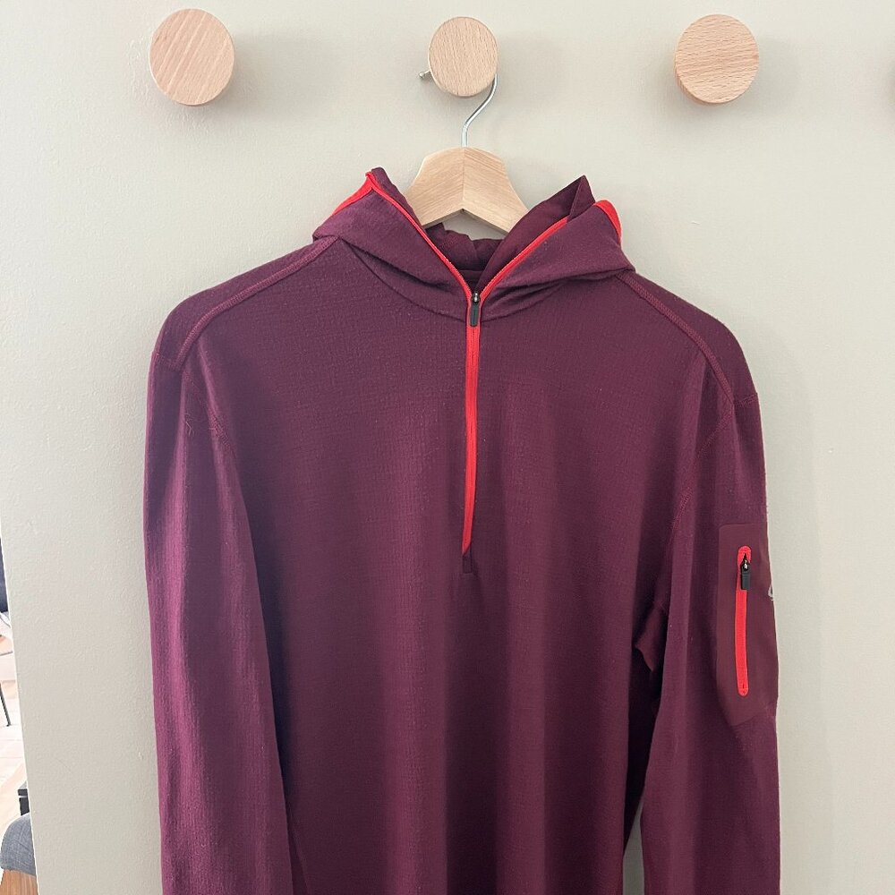 Icebreaker Men's Compass Long Sleeve Half-Zip Hoodie, Size M, Redwood Clay